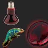 Maxbell Reptile Tortoise Amphibian Nightlight Infrared Light E27 Base Heat Lamp 75W