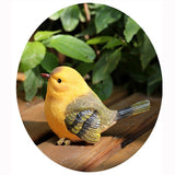 Maxbell Pair Rural Garden Decor Desk Decor Emulation Bird Christmas Gift