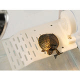 Maxbell Aquarium Reptile Terrace Turtle Island Platform Dock Fish Tank Decor S