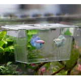 Maxbell Aquarium Fish Tank 2-layer Breeding Breeder Isolation Box Hatchery Incubator