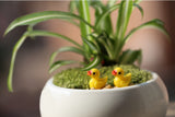 Maxbell 20pcs Miniature Dollhouse Bonsai Fairy Garden Landscape Yellow Duck Decor