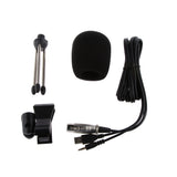 Maxbell Computer Condenser Microphone PC Recording Mic w/ Stand Blue Silver