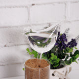 Maxbell Automatic Glass Bird Shape Simple Watering Device Plant for Garden Flower