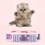 Maxbell Electric Cat Dog Teaser Toys Puppy Kitty Interactive Toys for cat dogs Pink