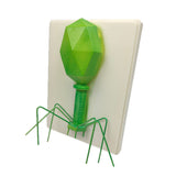 Maxbell Kids Educational Specimen Bacteriophage Germ Biological Experiment Teaching