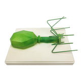 Maxbell Kids Educational Specimen Bacteriophage Germ Biological Experiment Teaching