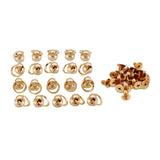 Maxbell 20 Sets Brass Button Rivet Studs Screw Back Round Head Ring Craft Golden
