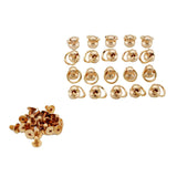 Maxbell 20 Sets Brass Button Rivet Studs Screw Back Round Head Ring Craft Golden