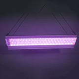 Maxbell UK Plug Full Spectrum LED Plant Growth Lamp Indoor Greenhouse Light 80W 60cm