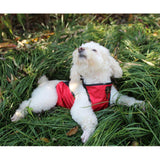 Maxbell Dog Puppy Apron Pet Outdoor Cozy Comfortable Apparel For Cat Dog Red