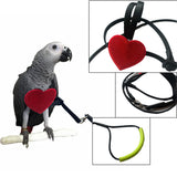 Maxbell Bird Parrot Harness Leash Pet Rope For Birds Outdoor Training Leash  M