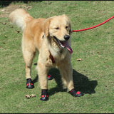 Maxbell 4 Pcs Pet Dog Shoes Boots Waterproof Pet Paw Protector Dog Shoes  Red M