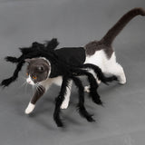 Maxbell Funny Spider Style Pet Cat Dog Costume Clothes for Small Pet Cat Dog