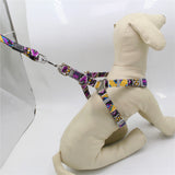 Maxbell Pet Harness Vest Set Pet Walking Leash for Small Animals Cat Dog Type 2-S