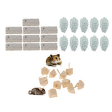 Maxbell 10PC Hamster Rat Chinchilla Rabbit Teeth Grinder Mineral Stone MY35