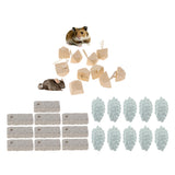 Maxbell 10PC Hamster Rat Chinchilla Rabbit Teeth Grinder Mineral Stone MY35