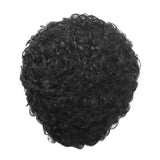 Maxbell Real Human Hair Short Afro Wig Full Head Curly Spiral Wig Hairpieces Black