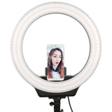 Maxbell 16" Ring Fill Light Warm and Cold LED Makeup Light for Shooting Make Up