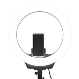 Maxbell 16" Ring Fill Light Warm and Cold LED Makeup Light for Shooting Make Up