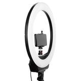 Maxbell 16" Ring Fill Light Warm and Cold LED Makeup Light for Shooting Make Up