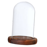 Maxbell  Glass Dome Cloche with Wood Base Flower Landscape Holder Glass Cover Brown A
