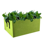 Maxbell Black Thickened Felt Non-woven Plant Grow Bags Potato Container Green_L