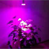 Maxbell LED Plant Grow Lamp Bulb for Hydroponic Greenhouse E27 28W Full Spectrum