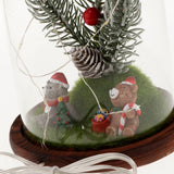 Maxbell Christmas USB Light Micro Landscape Glass Cover Dome Table Decor Ornaments C