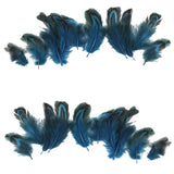 Maxbell Pheasant Feathers for Craft Mask Hat 3-6cm 50pcs