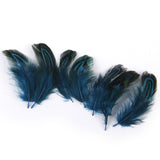 Maxbell Pheasant Feathers for Craft Mask Hat 3-6cm 50pcs