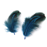 Maxbell Pheasant Feathers for Craft Mask Hat 3-6cm 50pcs