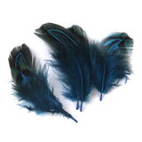 Maxbell Pheasant Feathers for Craft Mask Hat 3-6cm 50pcs