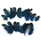 Maxbell Pheasant Feathers for Craft Mask Hat 3-6cm 50pcs