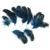 Maxbell Pheasant Feathers for Craft Mask Hat 3-6cm 50pcs