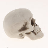 Plastic Skull Head Figurine Animal Skeleton Model Statue Halloween Decor E