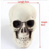 Plastic Skull Head Figurine Animal Skeleton Model Statue Halloween Decor E