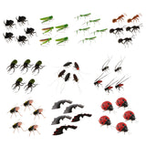 Maxbell 5Pcs Simulation Artificial Insect Model Kids Educative Toys Locust