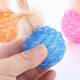 Maxbell Fun Play Cat Teaser Toys Chaser Pet Toy with Feather For Small Cat Dog