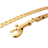 Maxbell Pet Dog Puppy Chain Leash Dog Traction Rope for Medium Large Dogs