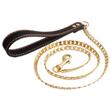 Maxbell Pet Dog Puppy Chain Leash Dog Traction Rope for Medium Large Dogs