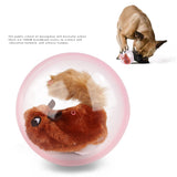 Maxbell Built-in Plush Toy Dog Cat Automatic Interactive Rolling Ball Toys squirrel