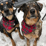 Maxbell Classic Plaid Dog Bandana - Your Dog Will Love These Very Much Red Green Plaid