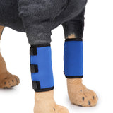 Maxbell 2PCS Pet Leg Brace Protector Dog Surgical Injury Fixed Knee Pads  Blue S