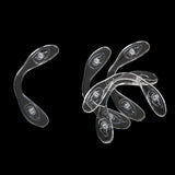 Maxbell Pack of 5 Eyewear Silicone Conjoined Nose Pads Eyewear Accessories Clear