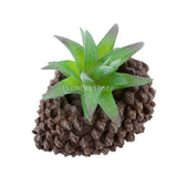Maxbell Artificial Plastic Succulent Aloe Flower Plant Home Yard Table Decor Green