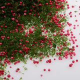 Maxbell Red Fruit Green Foliage Model Scenic Material for Mini Tree DIY