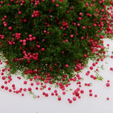 Maxbell Red Fruit Green Foliage Model Scenic Material for Mini Tree DIY