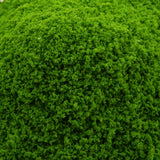 Maxbell Light Green Granular Shape DIY Foliage Sponge Leaves Model Mini Trees Model