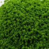 Maxbell Light Green Pore Foliage Model Scenic Material for Mini Tree DIY