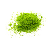 Maxbell Lime Green Pore Foliage Model Scenic Material for Mini Tree DIY